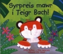 Image for Syrpreis Mawr I Teigr Bach!