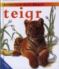 Image for Teigr