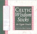 Image for Celtic Wisdom Sticks