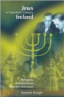 Image for The Jews, anti-semitism and the Irish state