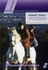 Image for Ireland&#39;s others  : ethnicity and gender in Irish literature and popular culture