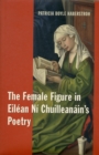Image for The Female Figure in Eilean Ni Chuilleanain&#39;s Poetry