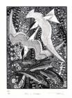 Image for The Incisive Eye : Colin See-Paynton: Wood Engravings 1980-1996
