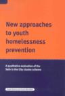 Image for New Approaches to Youth Homelessness Prevention