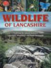 Image for Wildlife of Lancashire : Exploring the Natural History of Lancashire, Manchester and North Merseyside