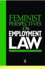 Image for Feminist perspectives on employment law