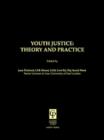 Image for Youth justice  : theory &amp; practice