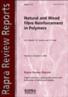 Image for Natural Wood and Fibre Reinforcement in Polymers