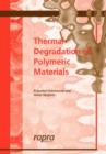 Image for Thermal Degradation of Polymeric Materials