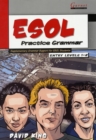 Image for ESOL Practice Grammar - Entry Levels 1 and 2 - SupplimentaryGrammar Support for ESOL Students