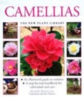 Image for Camellias