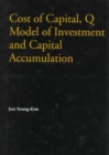 Image for Cost of Capital, Q Model of Investment and Capital Accumulation