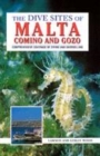 Image for The dive sites of Malta, Gozo and Comino  : comprehensive coverage of diving and snorkelling
