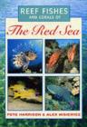 Image for Reef Fishes and Corals of the Red Sea