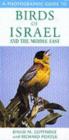 Image for A Photographic Guide to Birds of Israel and the Middle East