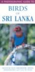 Image for A Photographic Guide to Birds of Sri Lanka