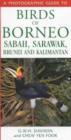 Image for A Photographic Guide to Birds of Borneo