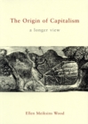 Image for The origin of capitalism  : a longer view