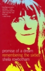 Image for Promise of a dream  : remembering the sixties