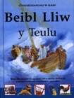 Image for Beibl Lliw y Teulu