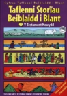 Image for Cyfres Taflenni Beiblaidd i Blant: Taflenni Storiau Beiblaidd i Blant 2: Y Testament Newydd