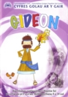 Image for Cyfres Golau ar y Gair: Gideon