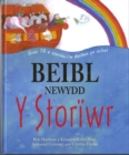 Image for Beibl Newydd y Storiwr
