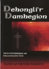 Image for Dehongli&#39;r Damhegion