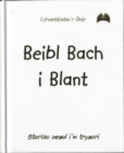 Image for Beibl Bach I Blant (Lledr Gwyn)