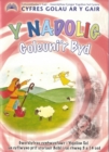 Image for Cyfres Golau ar y Gair: Y Nadolig - Goleuni&#39;r Byd