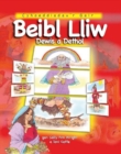 Image for Beibl Lliw Dewis a Dethol