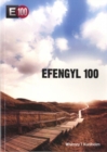 Image for Efengyl 100