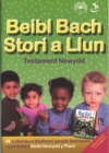 Image for Beibl Bach Stori a Llun - Testament Newydd