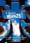 Image for Y Beibl Mewn 25 CAM