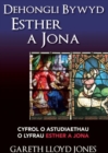 Image for Dehongli Bywyd Esther a Jona