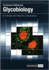 Image for Functional and molecular glycobiology