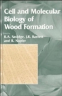 Image for Cell and Molecular Biology of Wood Formation