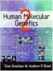 Image for Human molecular genetics