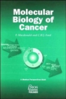 Image for Molecular Biology of Cancer