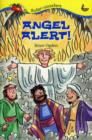 Image for Angel alert!