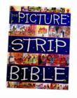 Image for Picture Strip Bible