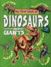 Image for MY FIRST BOOK OF DINOSAURS 2