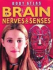 Image for Nerves, brain &amp; senses