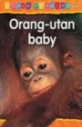 Image for Orang-utan baby