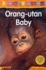 Image for Orang-utan baby