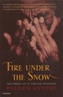 Image for Fire Under The Snow