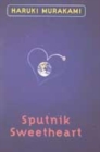 Image for Sputnik sweetheart