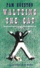 Image for Waltzing the cat