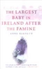 Image for The largest baby in Ireland after the famine