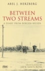 Image for Between two streams  : a diary from Bergen-Belsen
